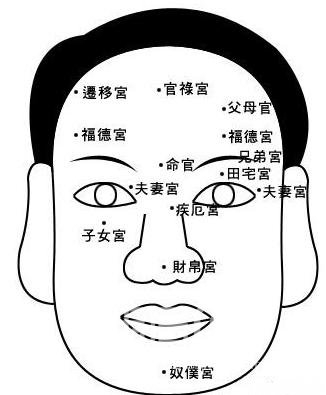 一分钟包你学会的面相学(12宫)