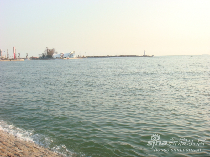 天津海边吃海鲜_深圳澳头吃海鲜_天津大学搬迁