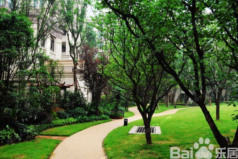 فیلم+کس+ایران 龙湖源著 社区实景图片... cache.house.sina.com.cn 宽800x535 ...