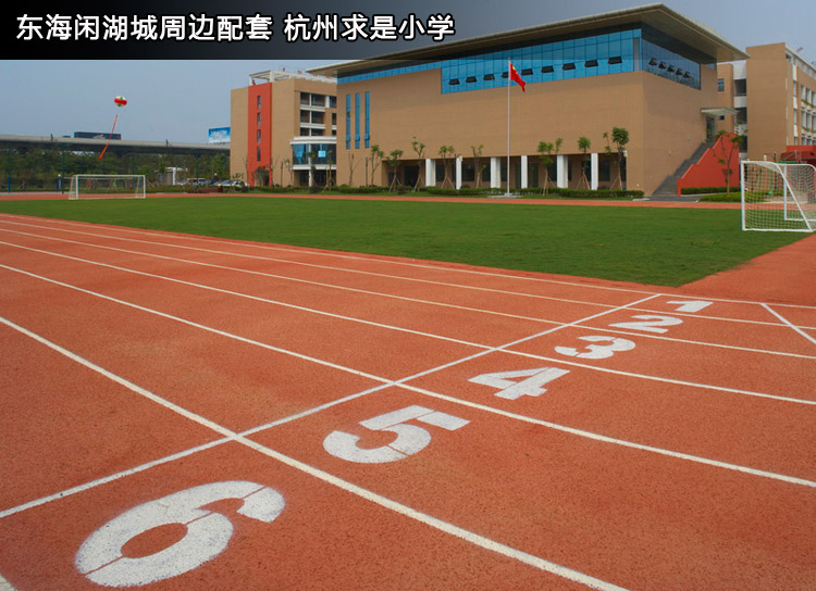 图为杭州求是小学实景