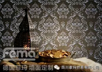 德国fema墙面定制:墙面二次翻新用什么涂料好