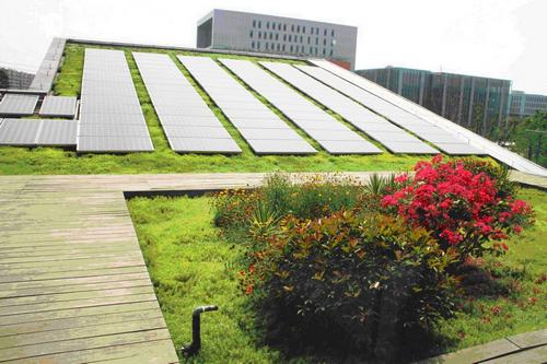 南京世界屋顶绿化大会准备就绪