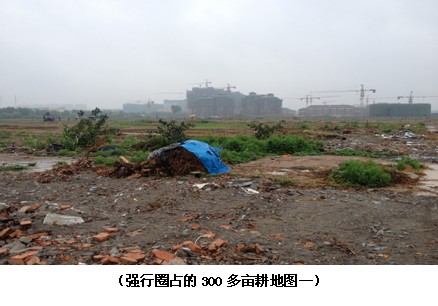 江苏沛县:用农民耕地和宅基地撑起新城区的脸