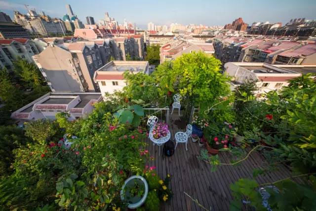 一位65岁普通退休大叔,建了一座空中花园
