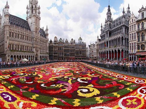 鲜花地毯扮靓欧洲最美城市