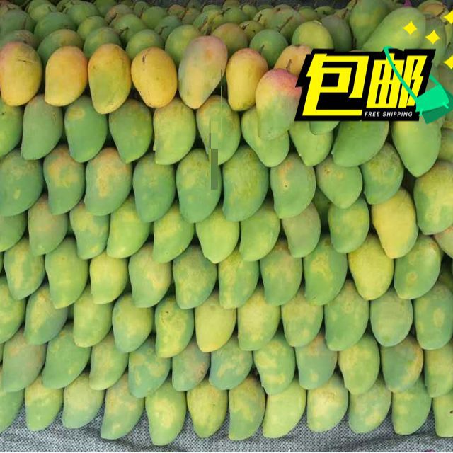 广西百色田东特产,热带水果之王,封号:中国芒果