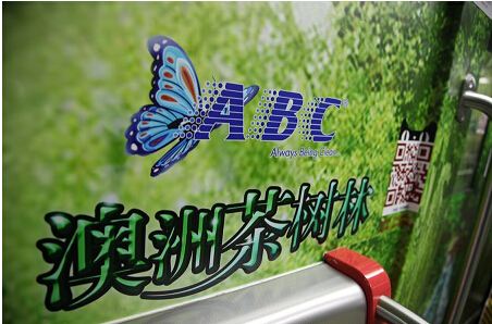 ݵ洩Խɴľϲ