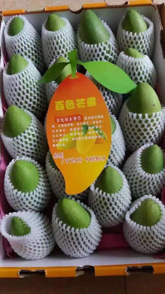 广西百色田东特产,热带水果之王,封号:中国芒果